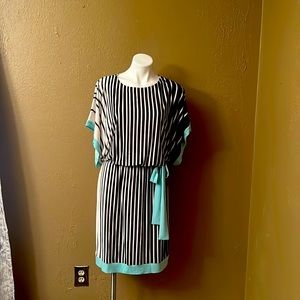Sandra Darren vertical stripped knee length knit pullover dress